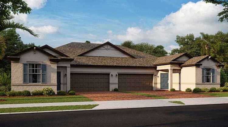 9811 Campanula Ct Land O Lakes, FL 34638