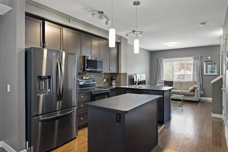 77 Skyview Springs Circle NE Calgary, AB T3N 0E6