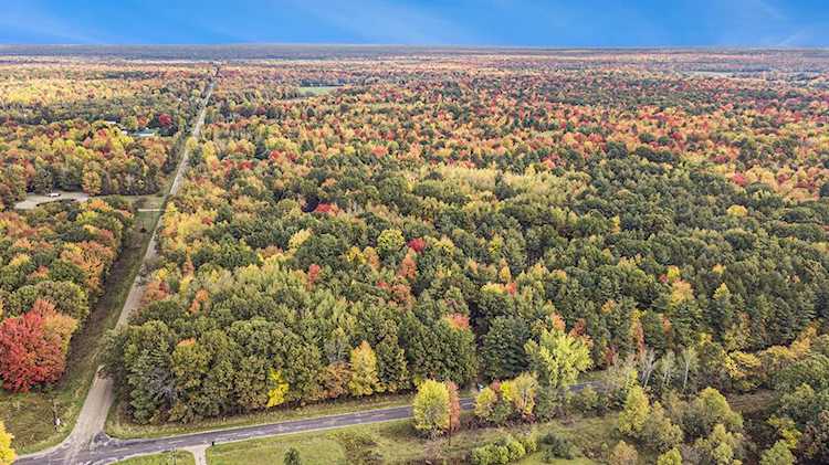 11264 E White Rd Moorland Twp, MI 49451