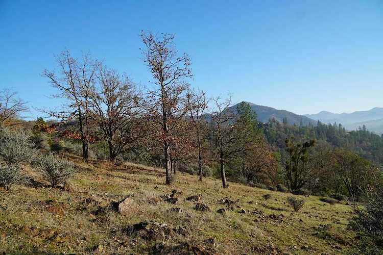 View 1200 E Evans Creek Rd with HD Pictures, Virtual Tours & Aerial Maps | MLS #220136146 Photo 1