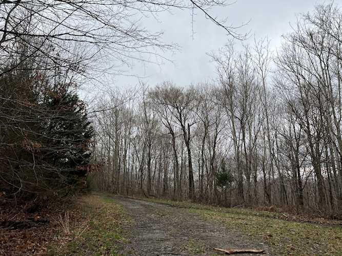 2 Highway 49E Charlotte, TN 37036