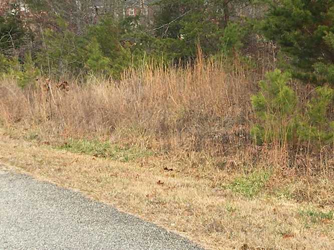 0 Vienna Rd Lot 14 Gaffney, SC 29340