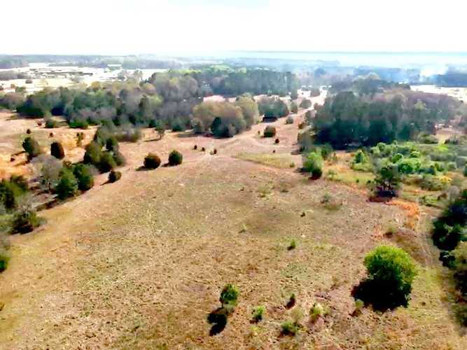 801 Whiteoak Rd Thomson, GA 30824 | MLS 462164 Photo 1