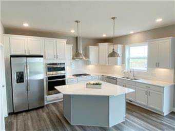 19431 Blue Stem Court Rogers, MN 55311