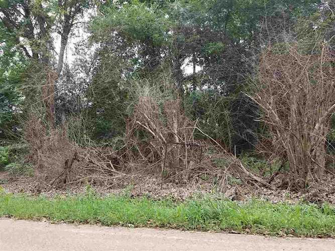 0 Dent Rd Eads, TN 38028