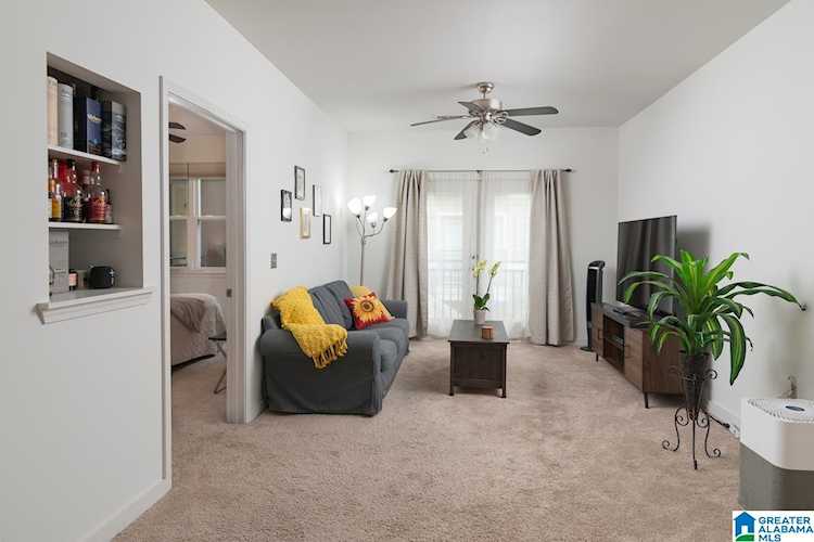 2020 S 5th Avenue #228 Birmingham, AL 35233