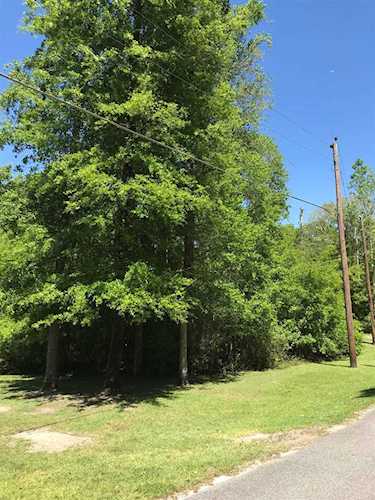 xx Lake Ellen Dr Crawfordville, FL 32327 in Lake Ellen Estates Photo 1