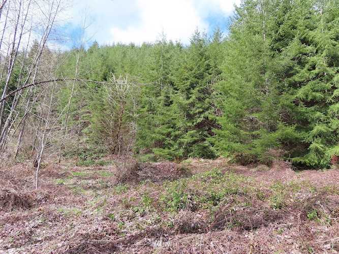 0 Spirit Lake Hwy Toutle, WA 98649