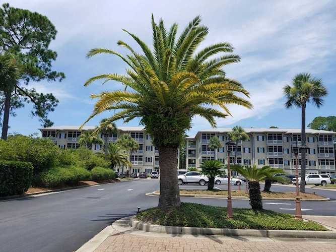 231 Somerset Bridge Road #UNIT 1302 Santa Rosa Beach, FL 32459
