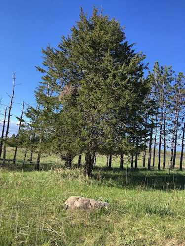Lot2 of 5293 240th Street Forest Lake, MN 55025