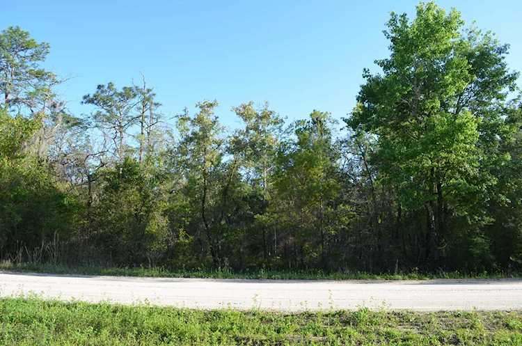 000 E Royal Oak Dr Keaton Beach, FL 32348