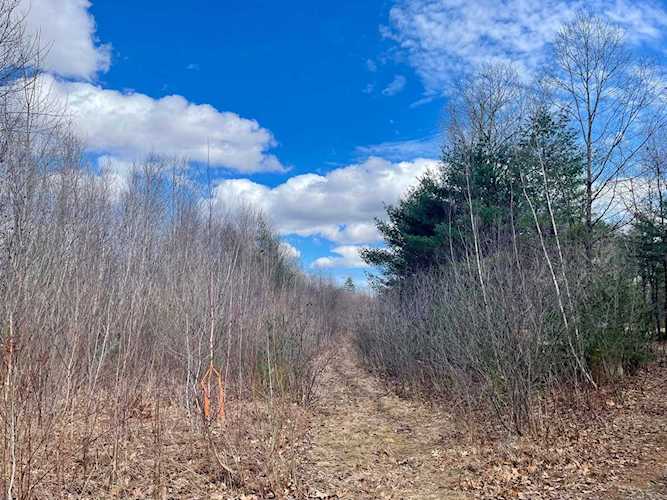 9 Bowley Rd #9 East Kingston, NH 03827