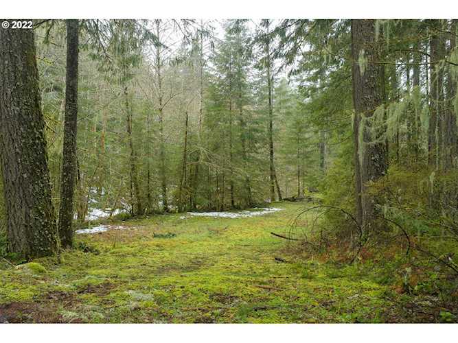 27502 E Road 20 Rhododendron, OR 97049 | MLS 22480834 Photo 1