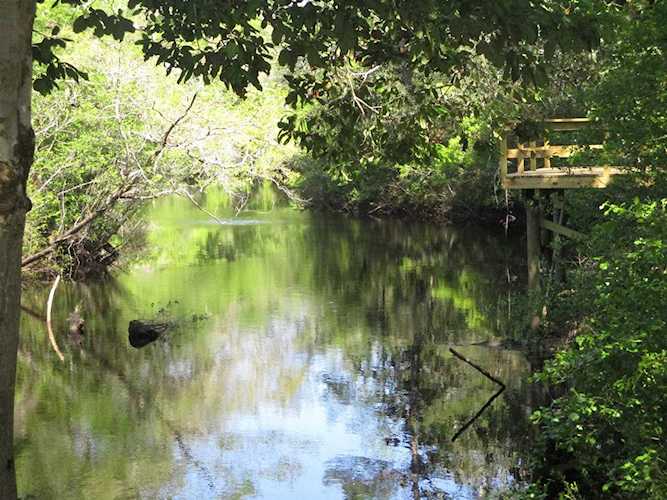 XX Seminole Ln Sopchoppy, FL 32358-8008
