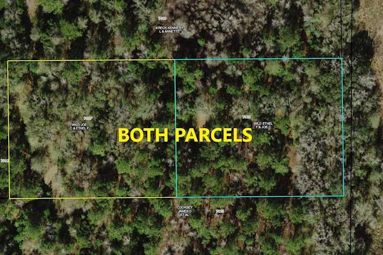 0 Cooksey Rd Monticello, FL 32344 in - Photo 1