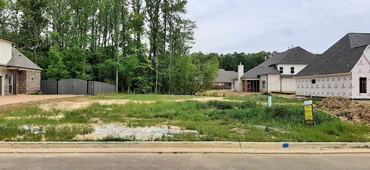 10514 Ashlyn Valley Dr Lakeland, TN 38002 | MLS 10123344 Photo 1