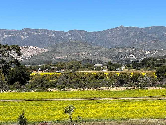 6701 Rincon Rd Carpinteria, CA 93013