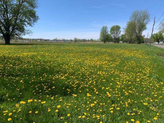 6588 Badgley Rd Dewitt, NY 13057
