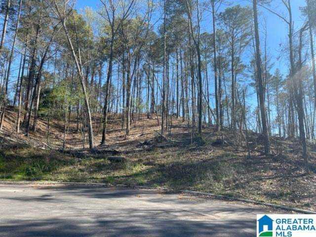 Eagle Wood Court #182A Birmingham, AL 35242