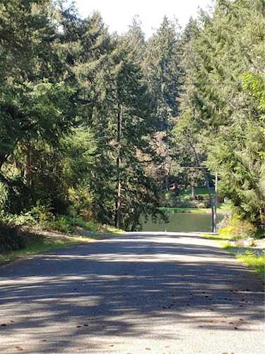 10425 Riviera Dr Anderson Island, WA 98303