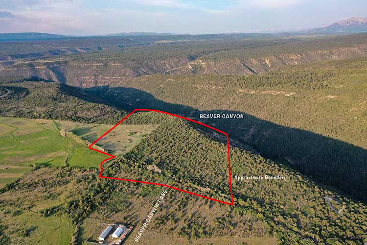 TBD Beaver Canyon Lane Norwood, COLORADO 81423