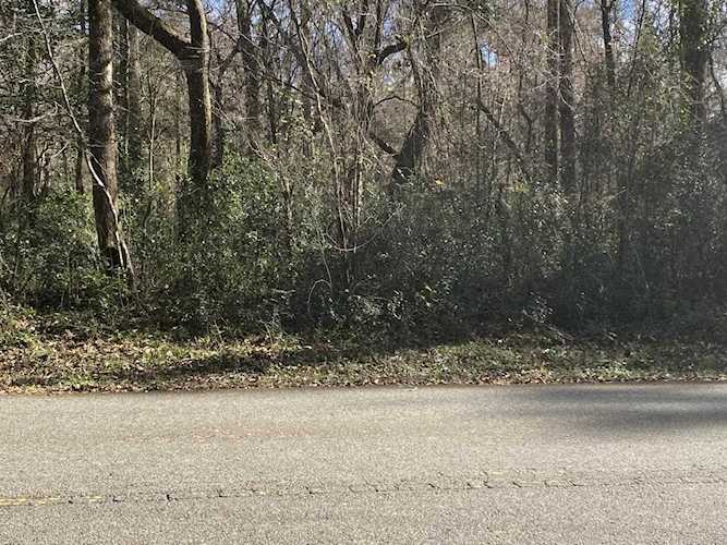 XX Beechwood Dr Crawfordville, FL 32327