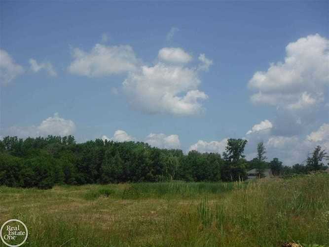19307 Springbrook , Lot #176 Dr Macomb Twp, MI 48044