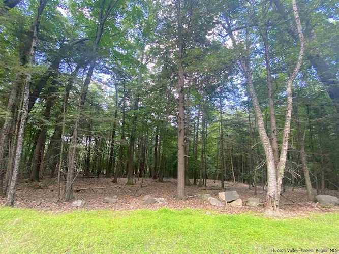 800 Oakwood Dr Stone Ridge, NY 12484
