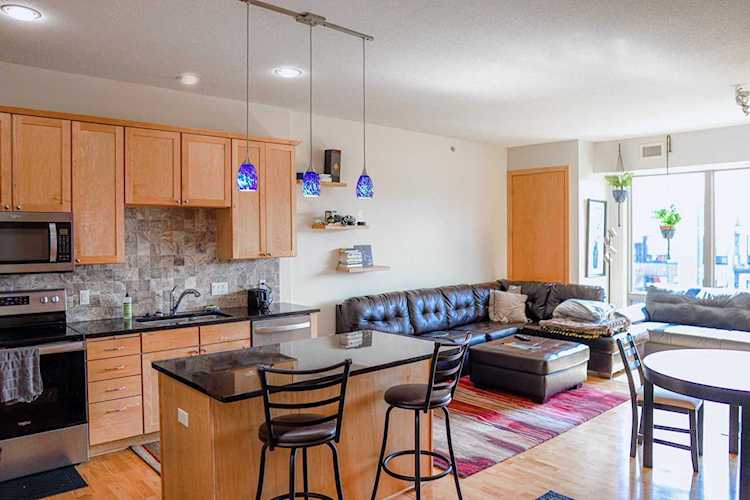 240 Spring Street #503 Saint Paul, MN 55102