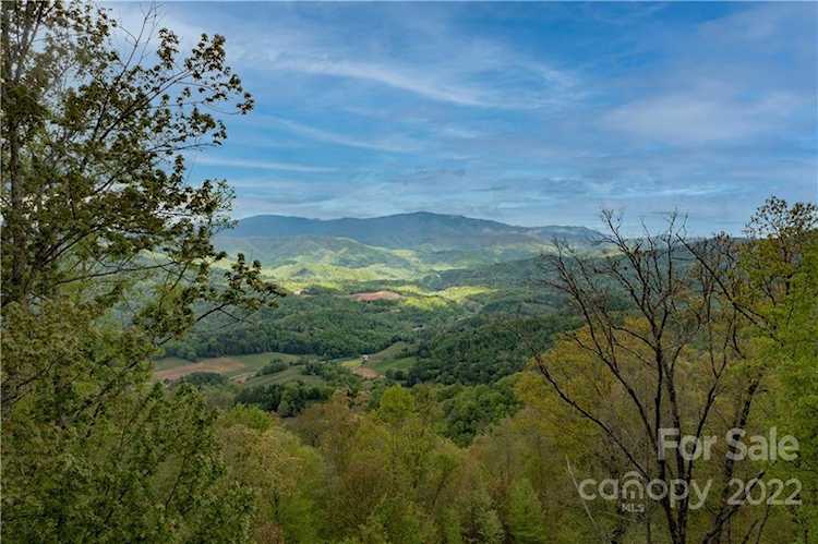 00 Hyacinth Dr Clyde, NC 28721