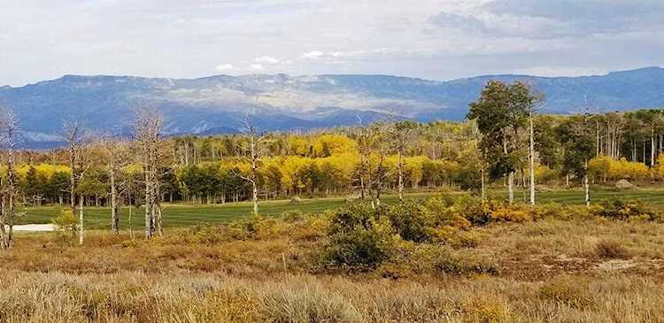 13 Red Cloud Circle #7 Montrose, COLORADO 81403