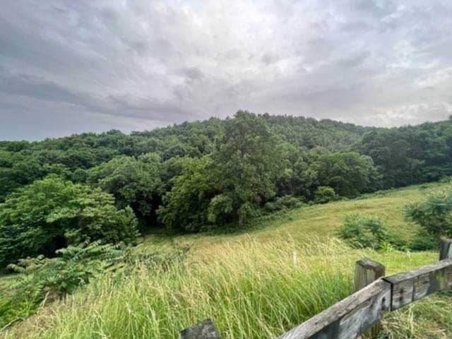 4455 Ivan Creek Dr Franklin, TN 37064