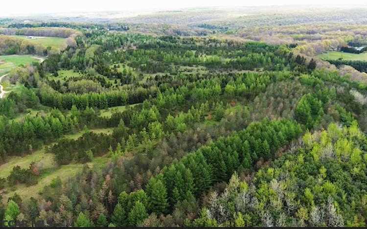 Lot Off Tyrone Pike Philipsburg, PA 16866