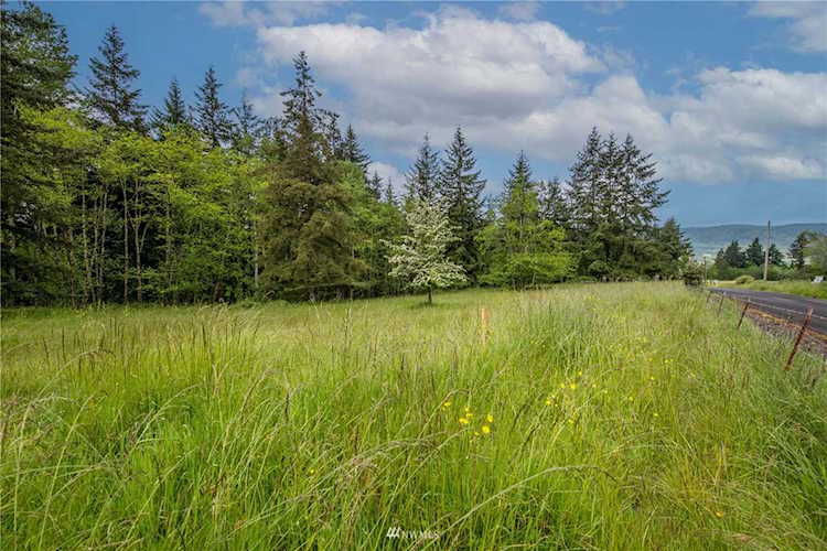 0 Risley Rd Kelso, WA 98626