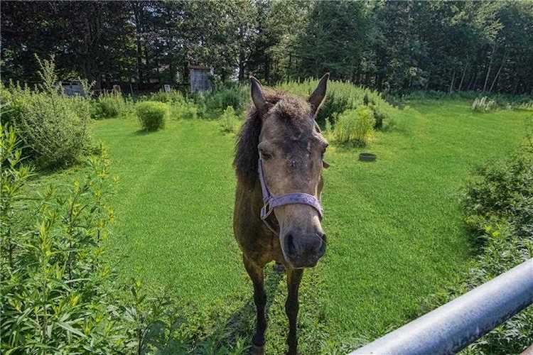 201 Chase Hill Rd Hopkinton, RI 02804