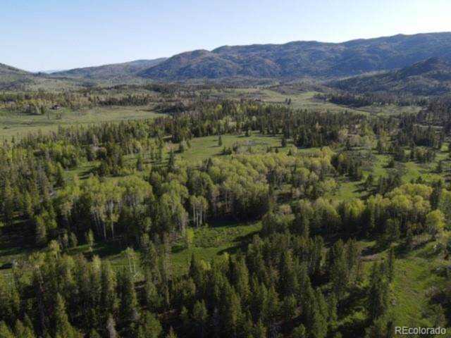 33585 Surrey Trl Oak Creek, CO 80467 | MLS 2491416 Photo 1