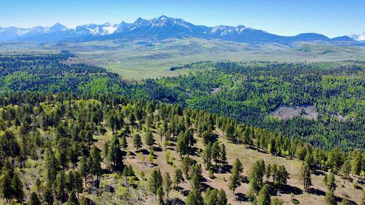 TBD Sky Mountain Ranch Road #Lot 6 Placerville, COLORADO 81430