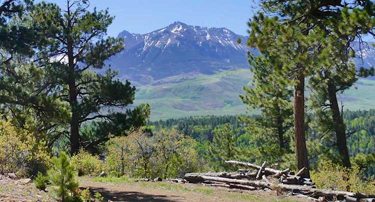 TBD Sky Mountain Ranch Road #Lot 7 Placerville, COLORADO 81430