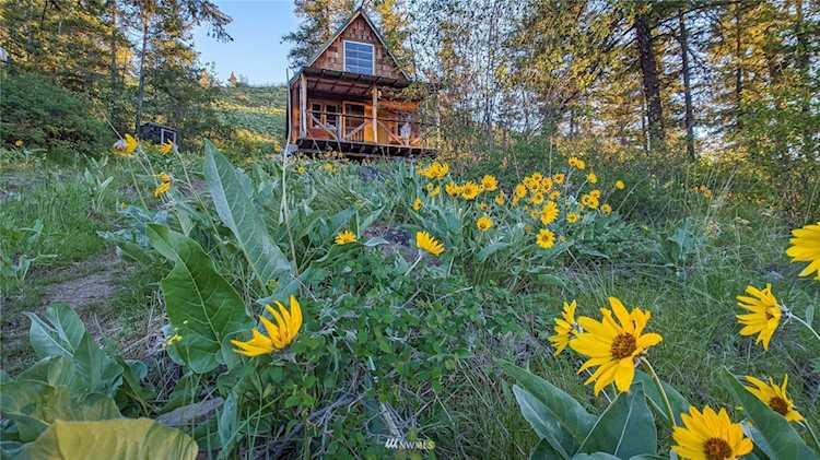 13 Serviceberry Ln Orondo, WA 98843