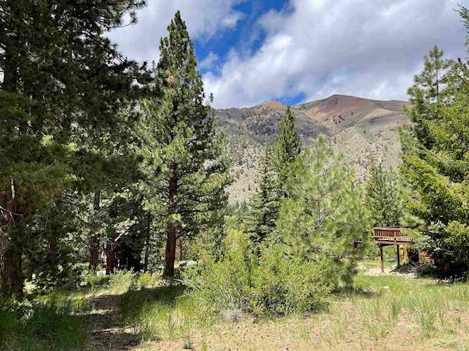 Parker Twin Lakes Subdivision Lot 13, Block D Bridgeport, CA 93517