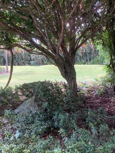 19690 Sawgrass Drive #1102 Boca Raton, FL 33434