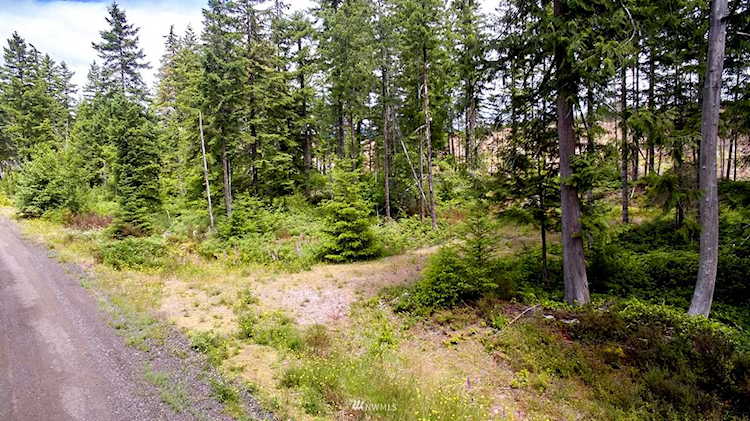 1 Lodgepole Ln Cougar, WA 98616