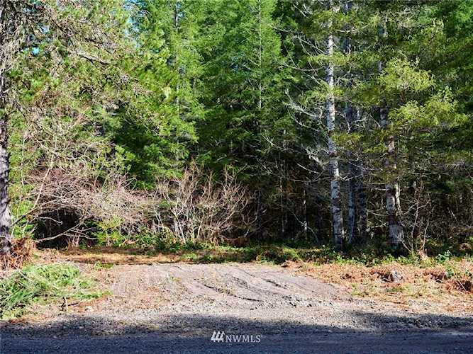 0 Lahar Ln #8 Cougar, WA 98616