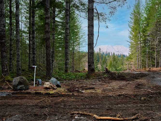 0 Lahar Ln #1A Cougar, WA 98616