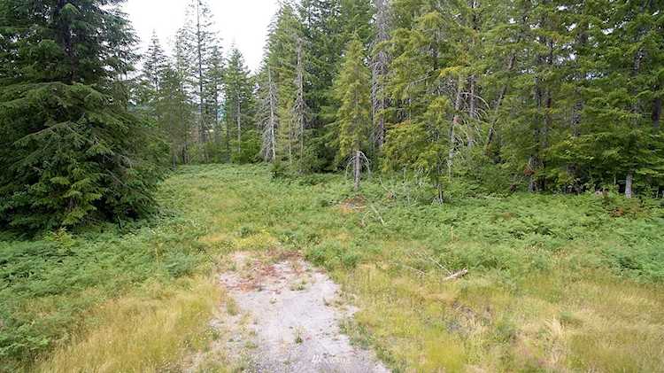 1 Lahar Ln Cougar, WA 98616