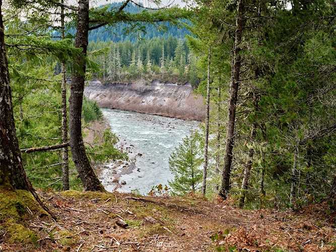 2 Lahar Ln Cougar, WA 98616
