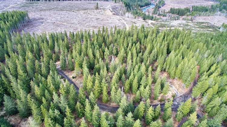 4 Loowit Ln Cougar, WA 98616