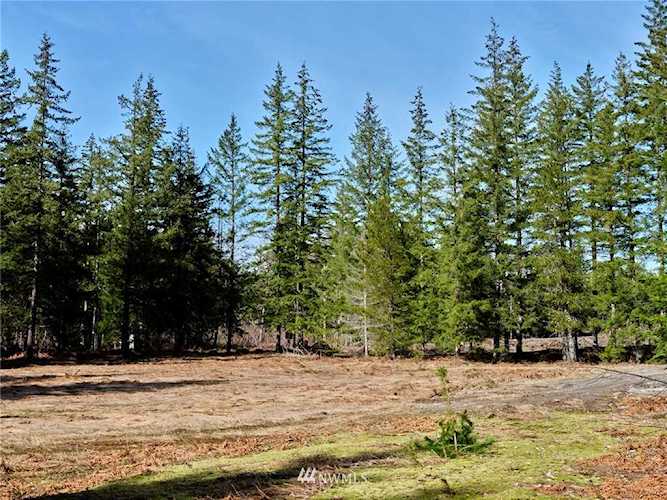 6 Loowit Ln Cougar, WA 98616