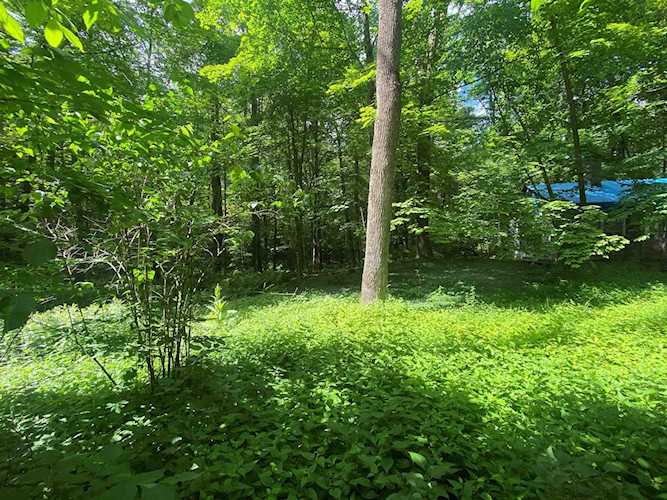 134 Sandown Rd Danville, NH 03819