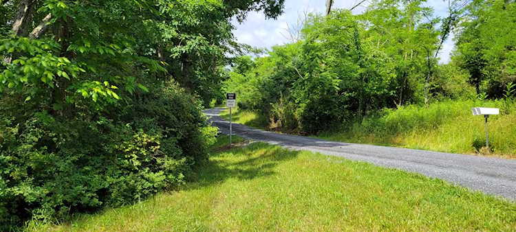 Vineyard Lane Lewisburg, WV 24901